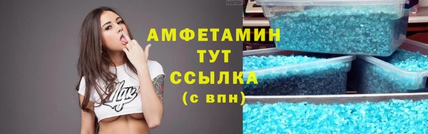 СК Алексин