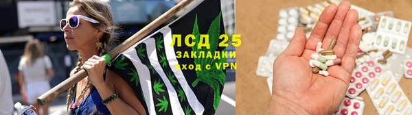 СК Алексин