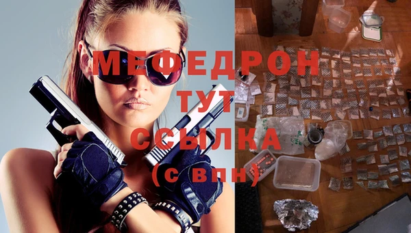 СК Алексин