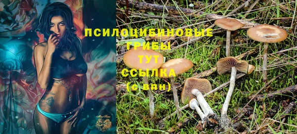 герыч Алзамай