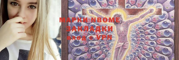 СК Алексин